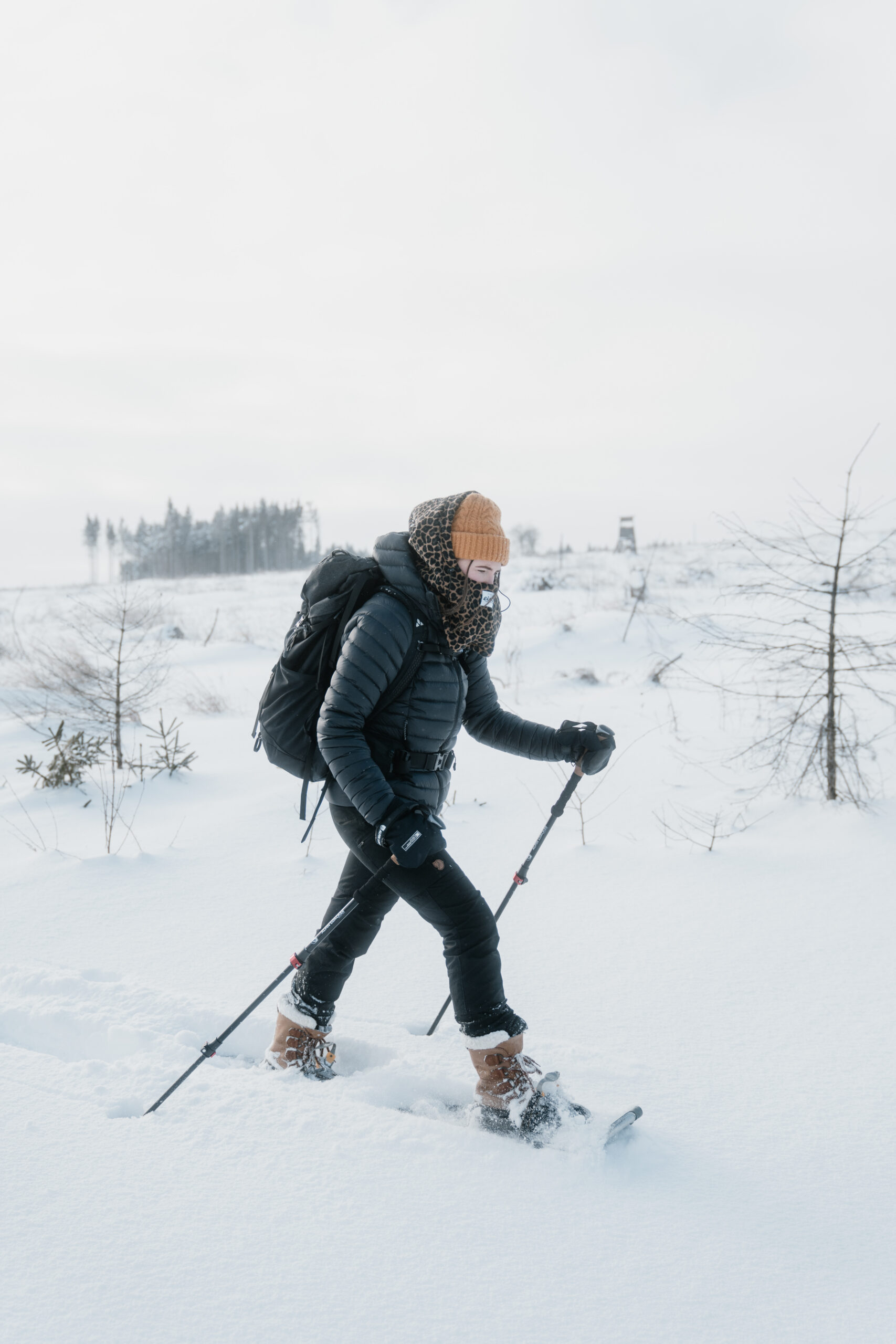Schneeschuhwandern Schierke - Bild 2