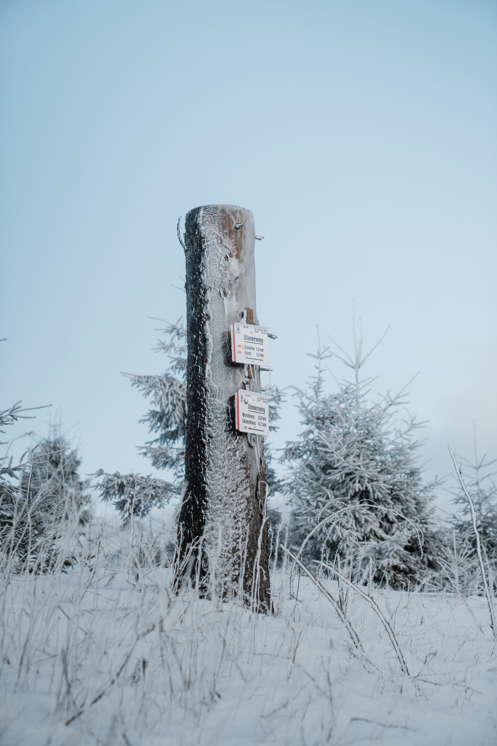 Schneeschuhwandern Schierke - Bild 3