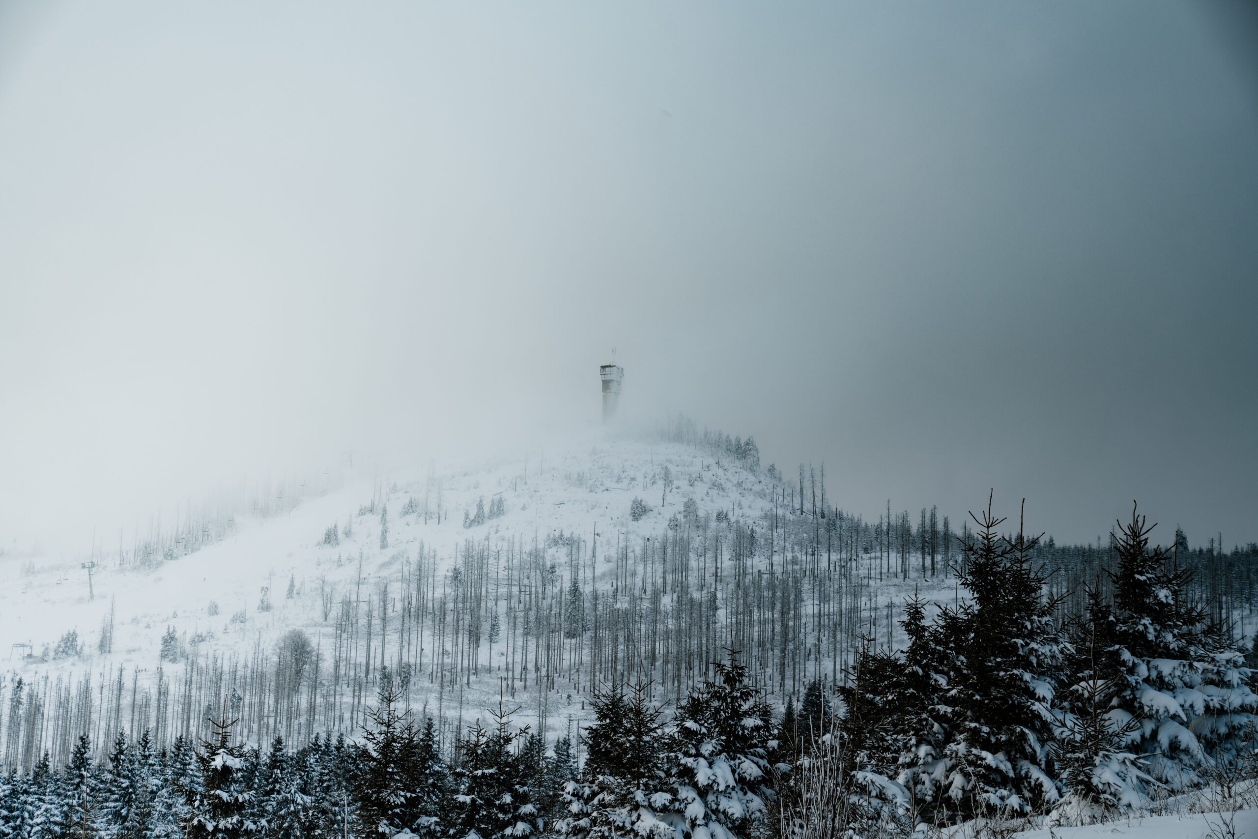 Schneeschuhwandern Schierke - Bild 4
