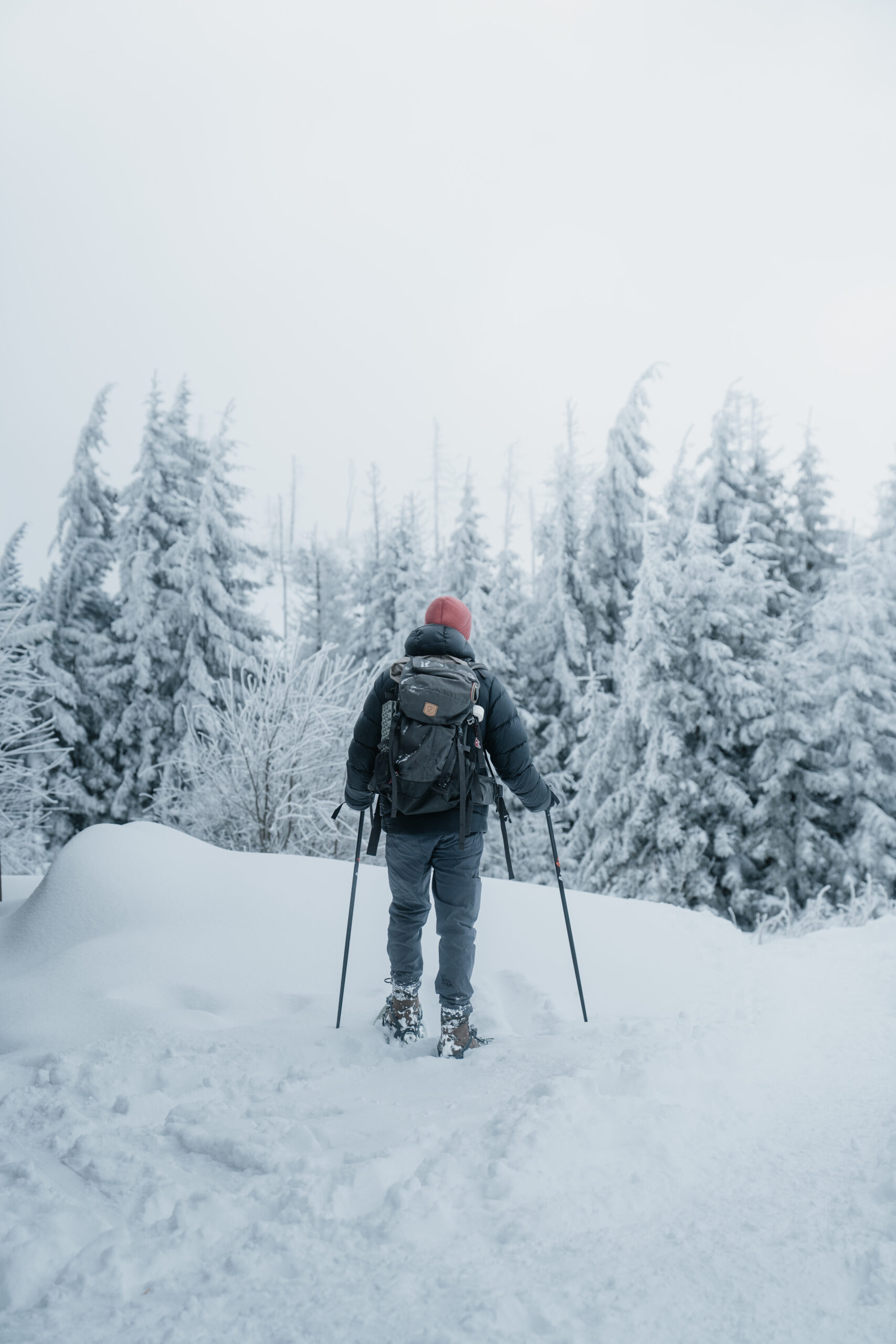 Schneeschuhwandern Schierke - Bild 1