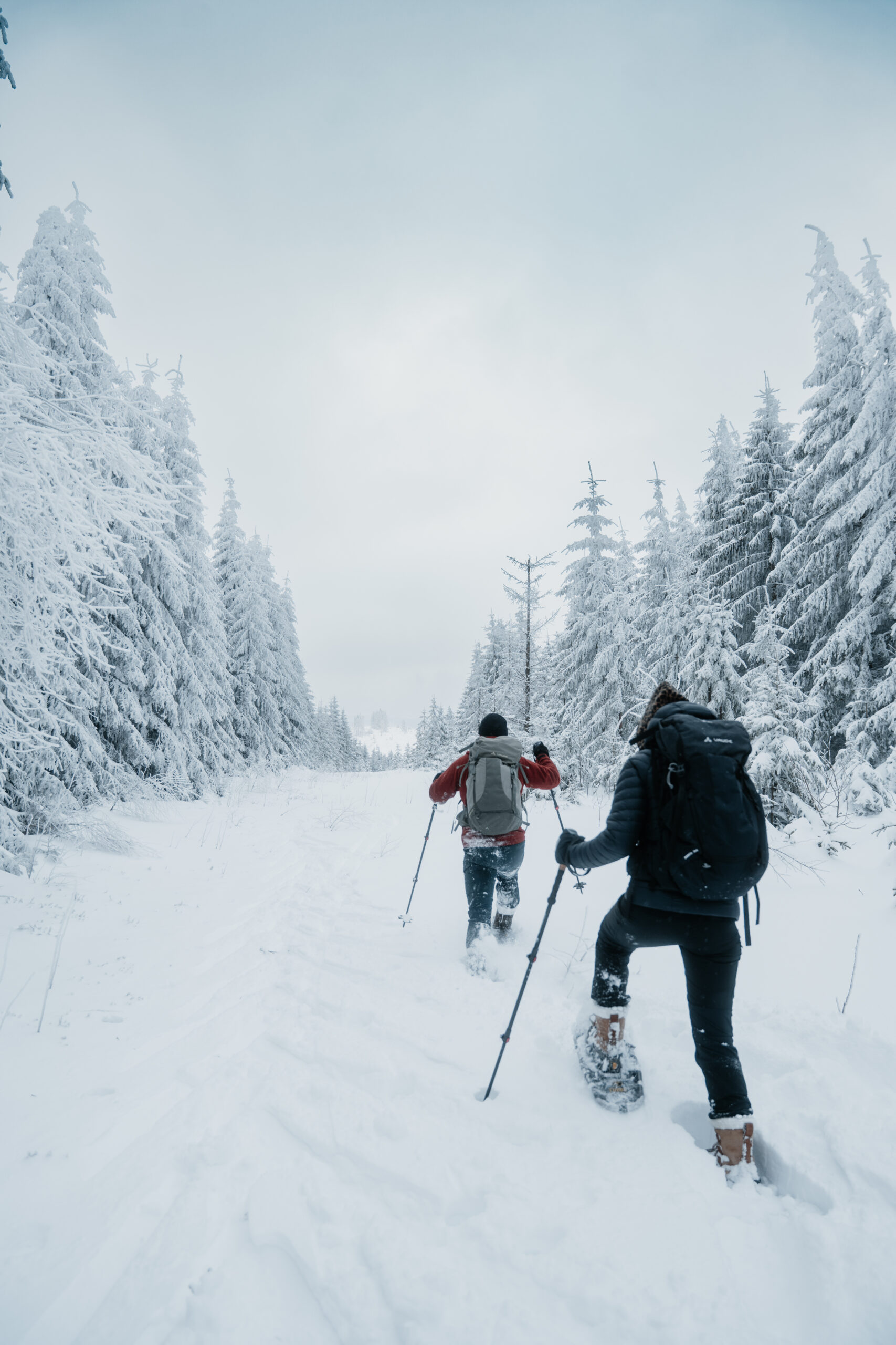 Schneeschuhwandern Schierke - Bild 8