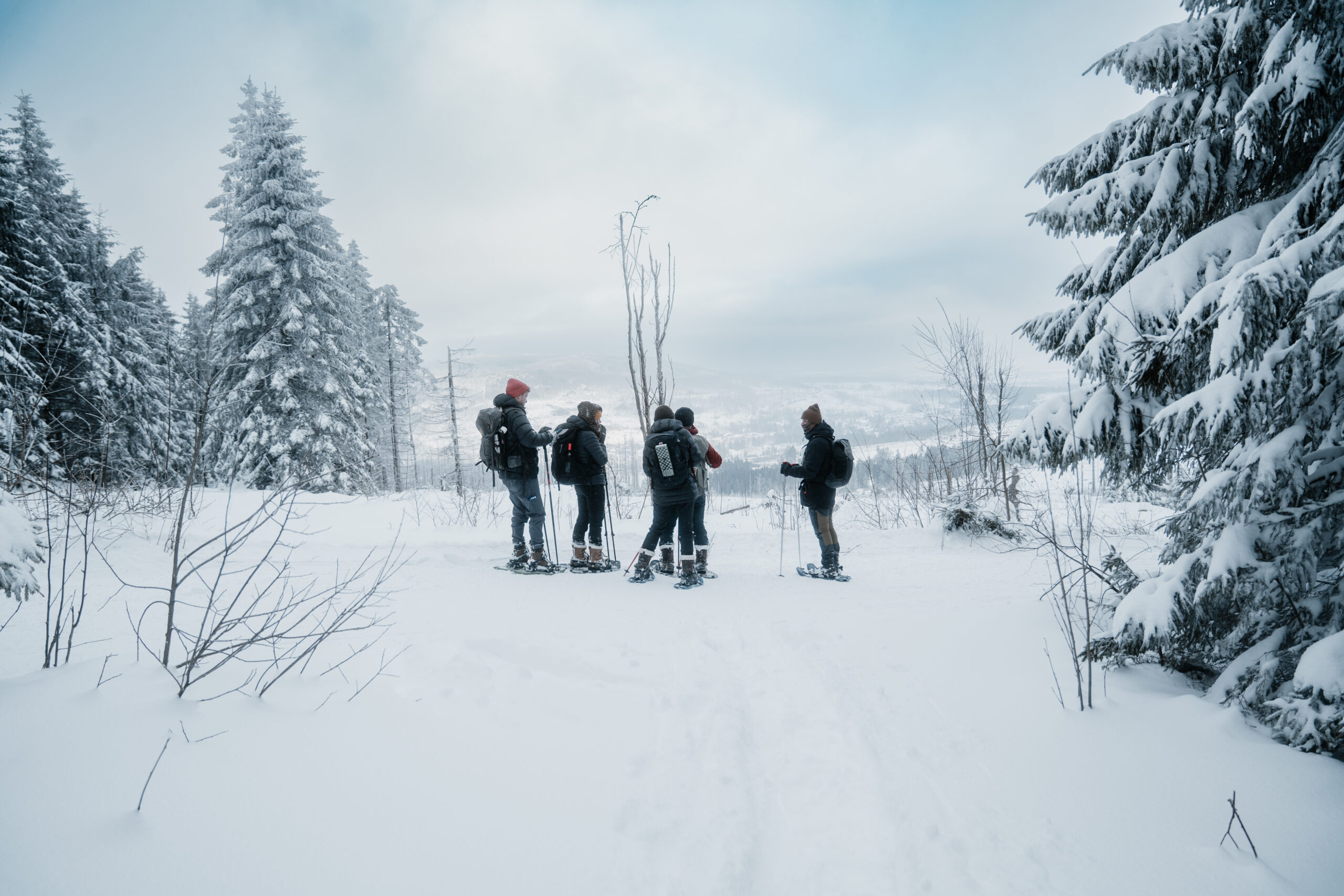 Schneeschuhwandern Schierke - Bild 7
