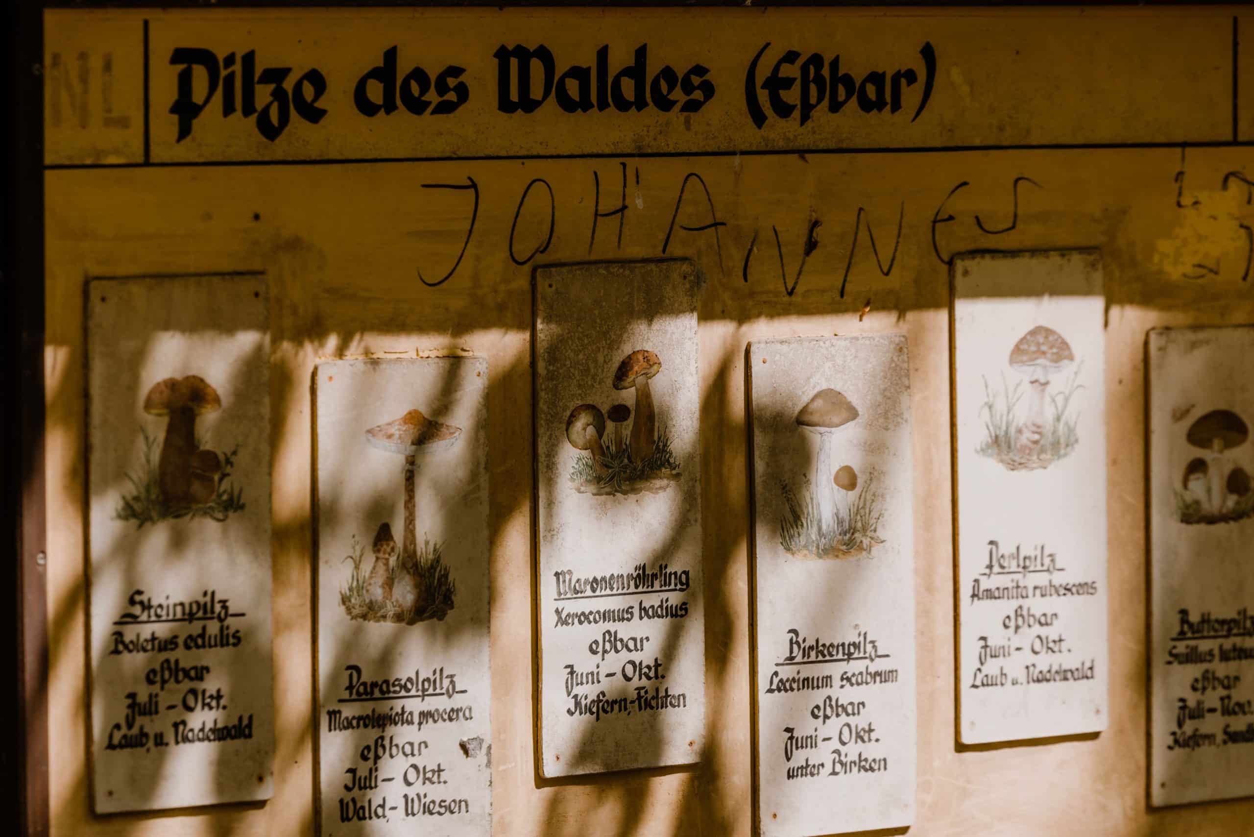 Ütschenteich - Bild 8